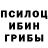 Галлюциногенные грибы Psilocybine cubensis Krent 234