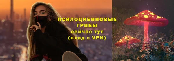 гашик Киренск