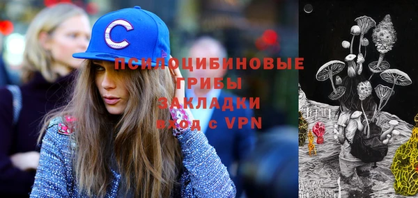 крисы Киреевск