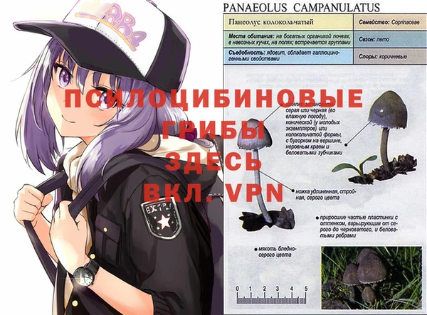гашик Киренск